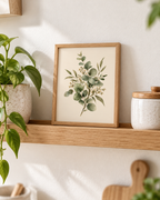 Sage green eucalyptus and delicate white blossom botanical watercolour against a warm cream background styled in a shelf
