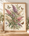 Butterfly bush botanical art print front image
