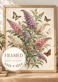 Framed butterfly bush botanical artwork front image — framed and ready to hang